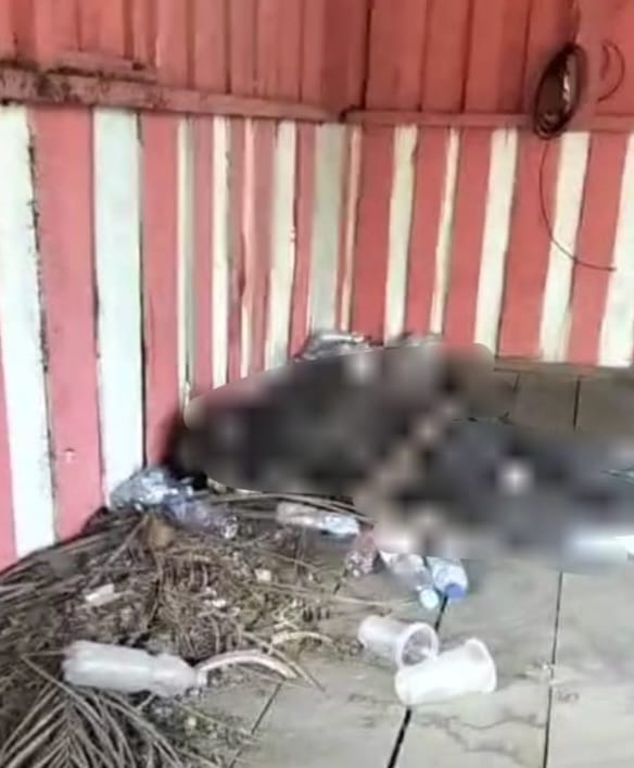 Warga Perbatasan Dharmasraya - Sijunjung Geger. Ada Penemuan Mayat di Pondok di Jorong Sialang, Dharmasraya.