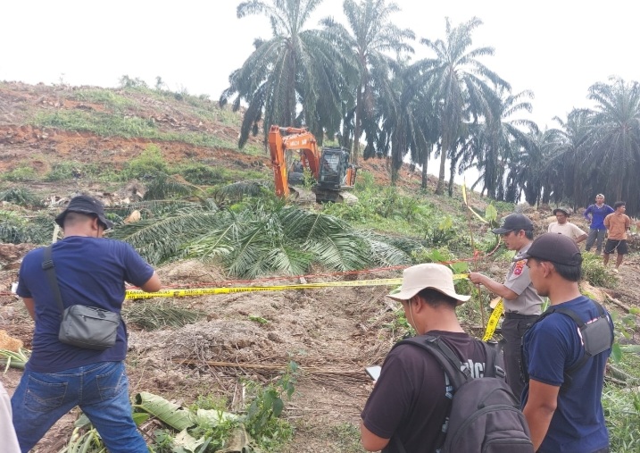 IRT Tewas Tertimpa Sawit Replanting Kebun PT BPSJ